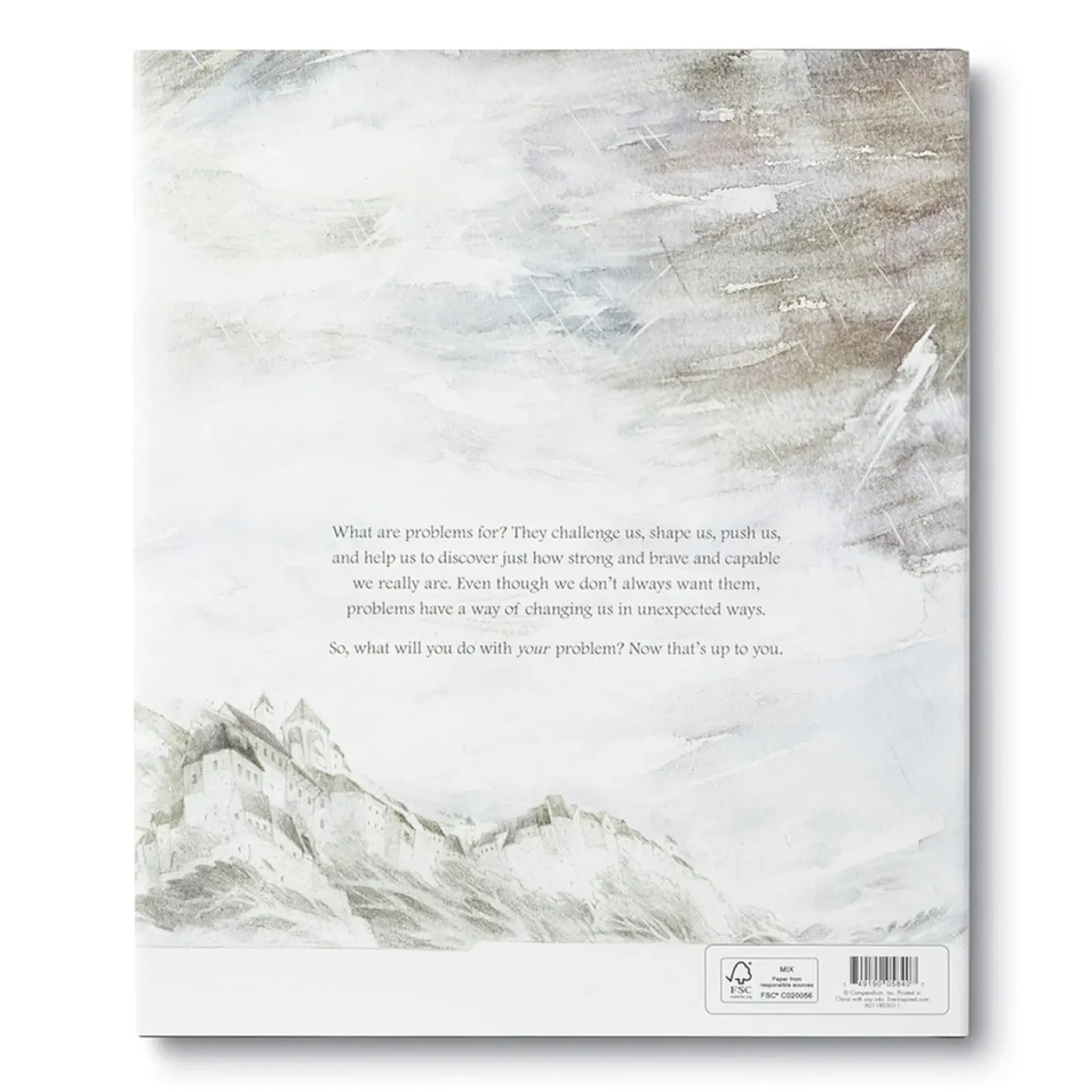 Compendium Books|What to do with a problem?